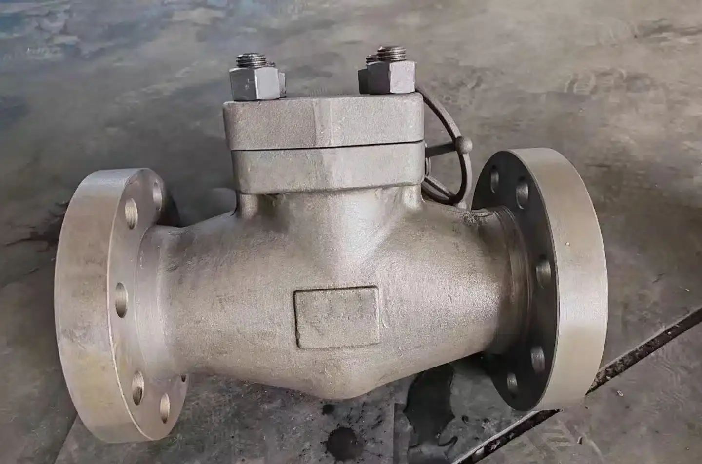 Industrial Check Valve